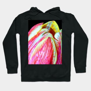 Tulip Close Up Hoodie